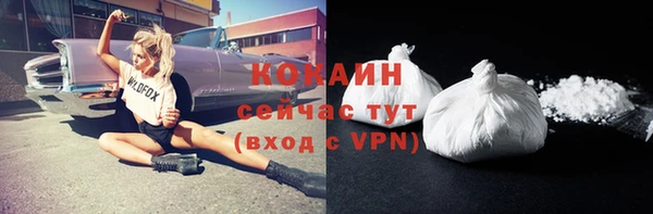 кокс Алексин
