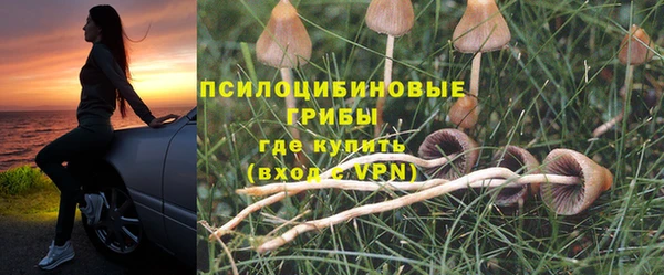кокс Алексин