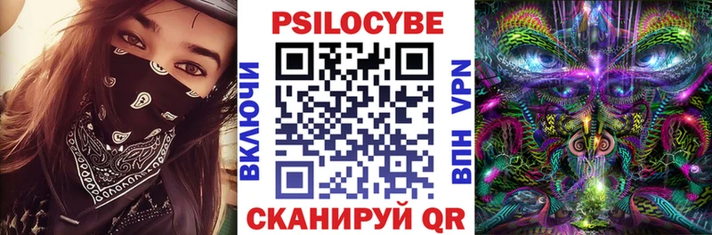 где купить   Козловка  Псилоцибиновые грибы ЛСД 